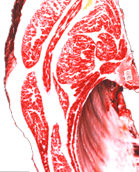 http://aichi.lin.gr.jp/indeed/meet/beef_a4.gif