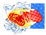 preserv7.gif